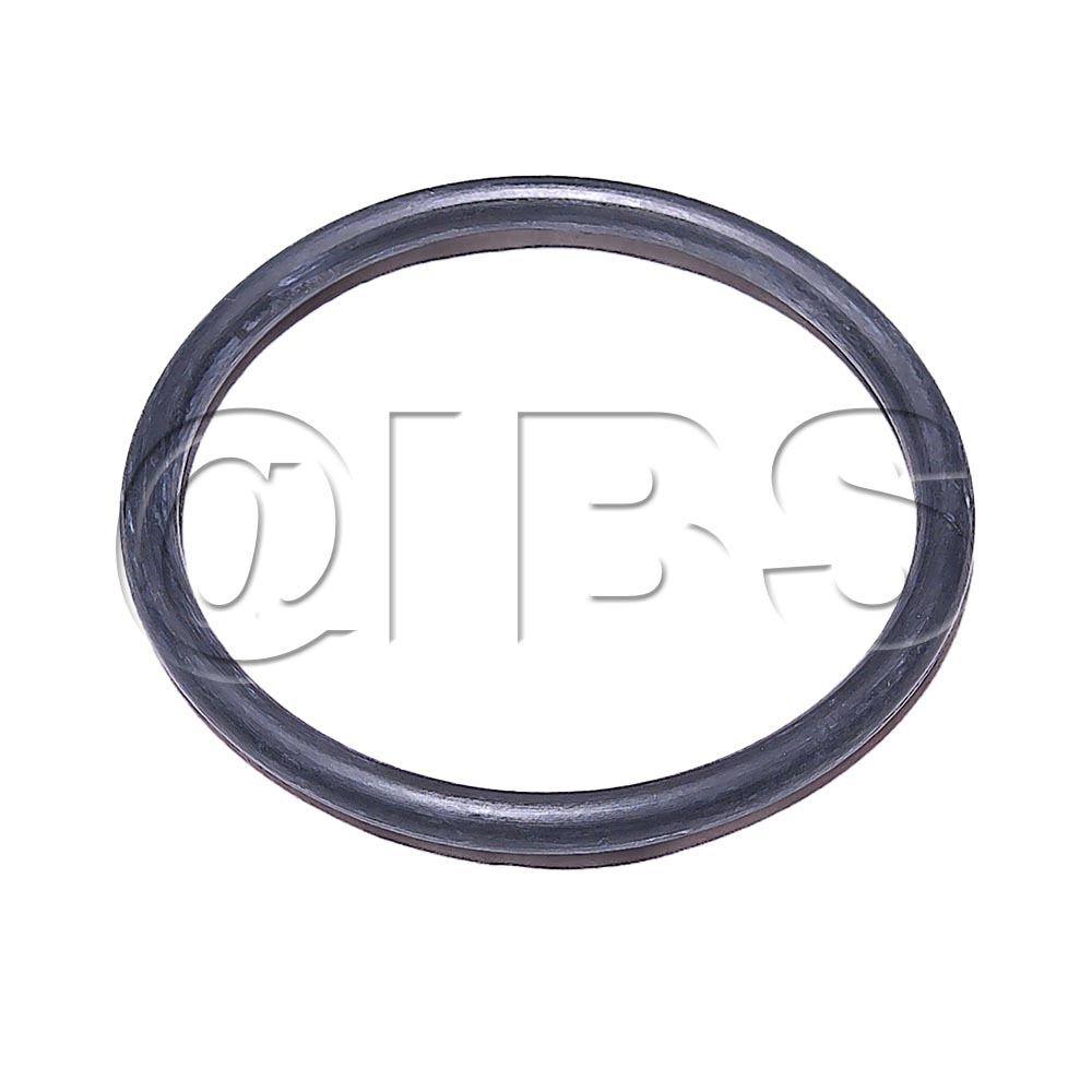 93884MYL O Ring 2.90Dia,0.205 Martin Yale