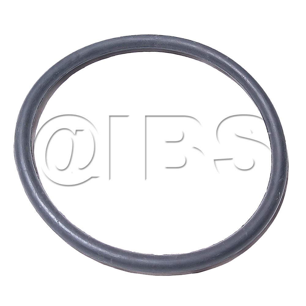 93877MYL Conveyor Belt Martin Yale